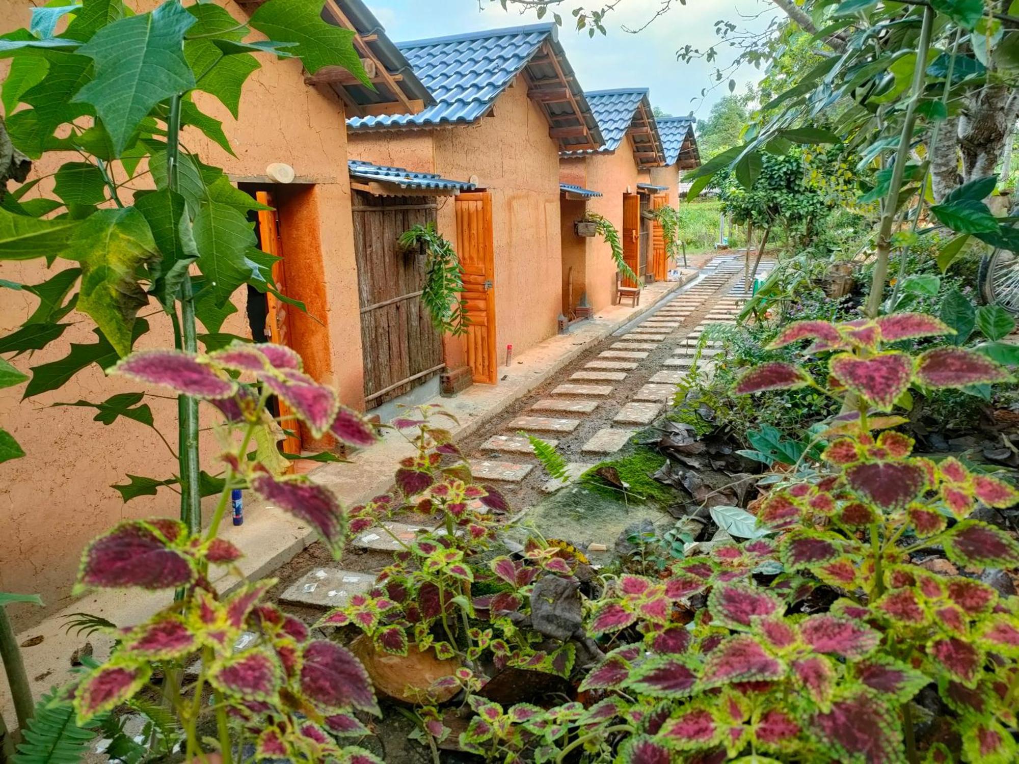 Ly Danh Homestay Quan Ba Номер фото